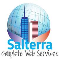 Salterra Web Design of Canton image 1